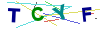 recopiez le code